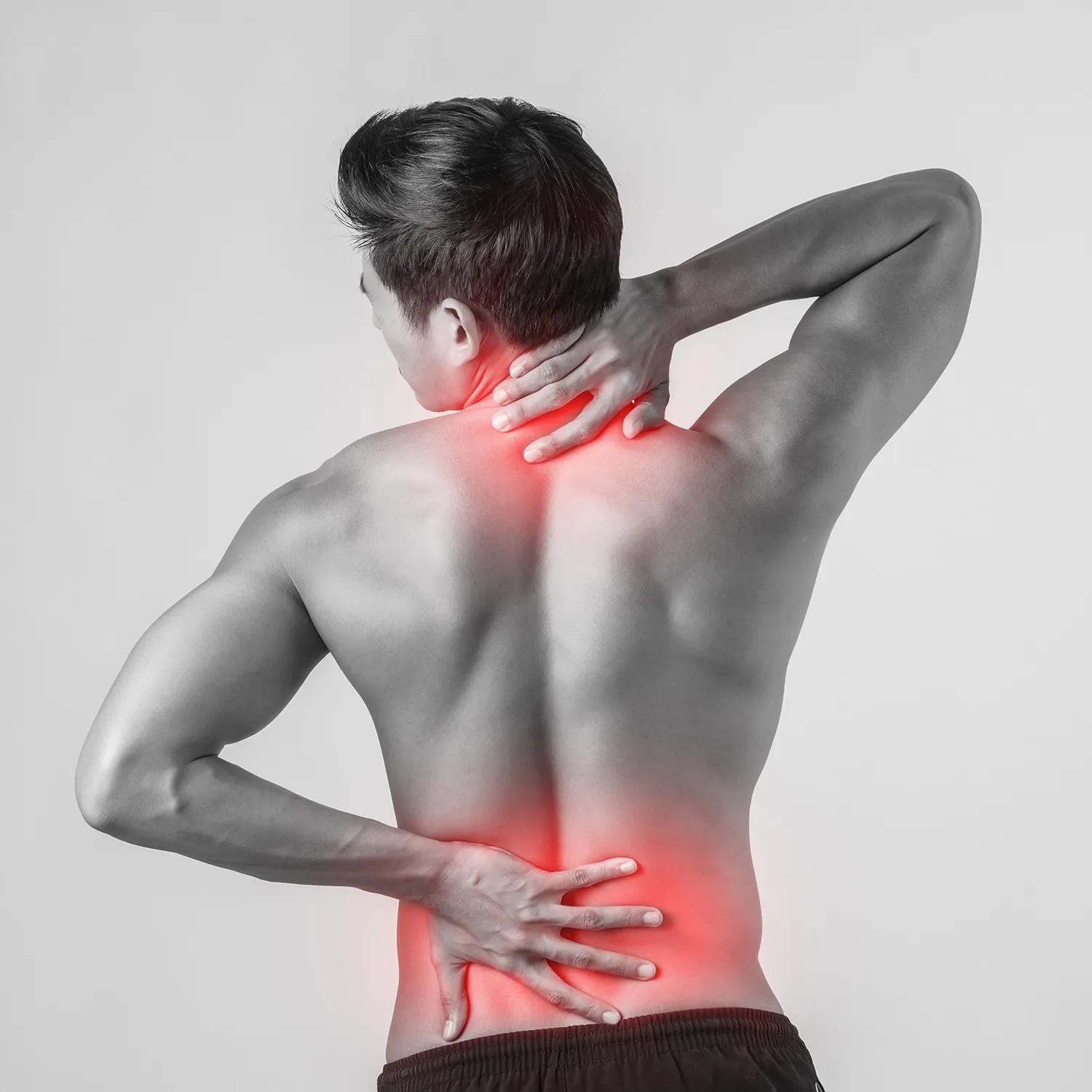 Pathologies musculaires